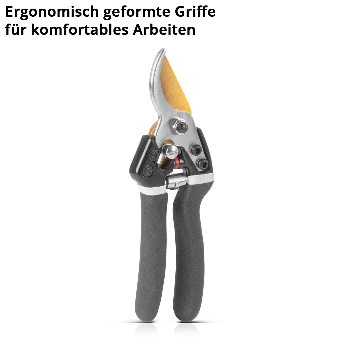 Steelworks garden scissors made of carbon steel professional rose scissors | Vineyards | Gärtnerscheers | Bypass scissors | Plant scissors | Flower scissors | Prick