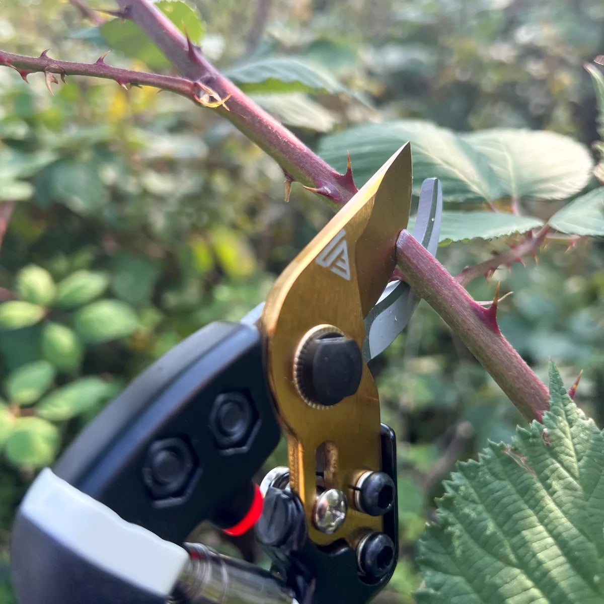 Steelworks garden scissors made of carbon steel professional rose scissors | Vineyards | Gärtnerscheers | Bypass scissors | Plant scissors | Flower scissors | Prick