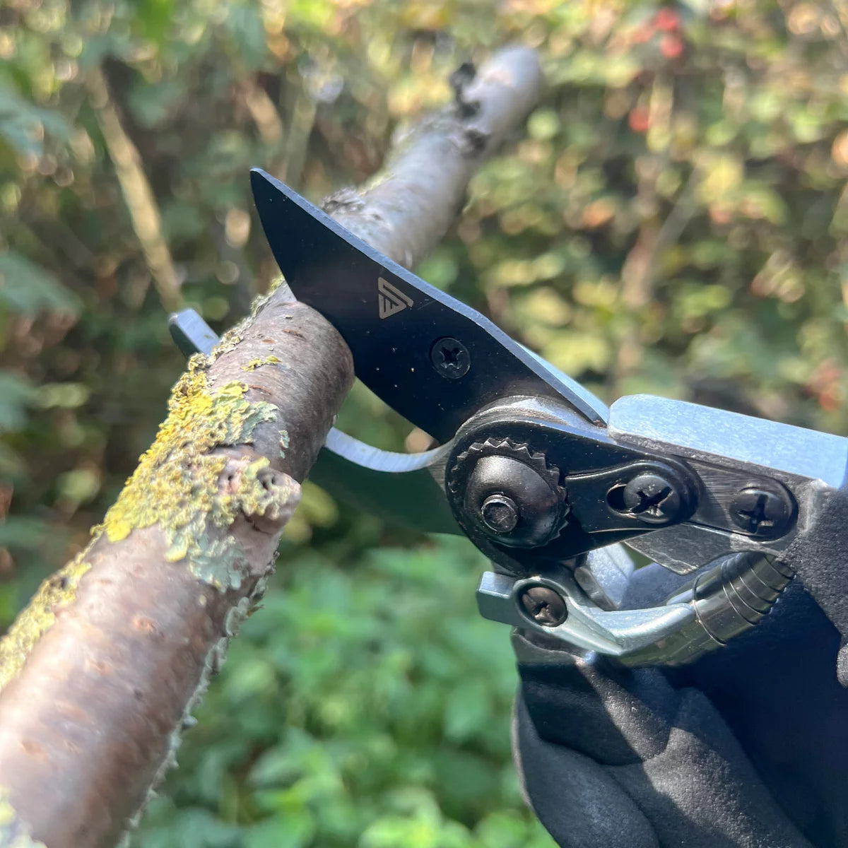 Steelworks garden scissors made of spring steel rose scissors | Vineyards | Gärtnerscheers | Bypass scissors | Plant scissors | Flower scissors | Prick