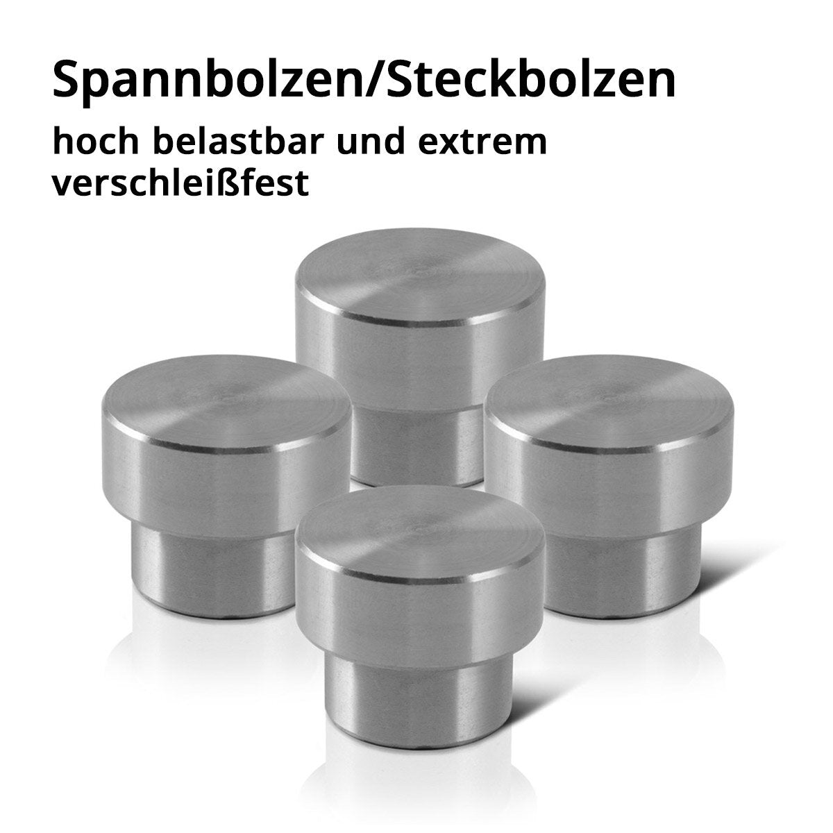 STAHLWERK Schweißtisch-Zubehör-Basic-Set Hochwertige Spann- und Fixierhilfen für D22 Lochsystem mit 2 Schraubzwingen und 4 Spannbolzen