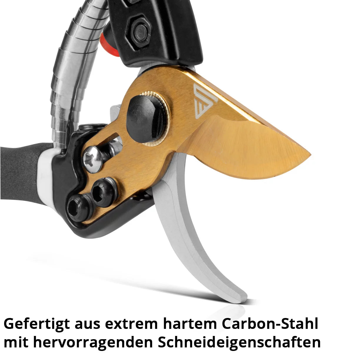 Steelworks garden scissors made of carbon steel professional rose scissors | Vineyards | Gärtnerscheers | Bypass scissors | Plant scissors | Flower scissors | Prick