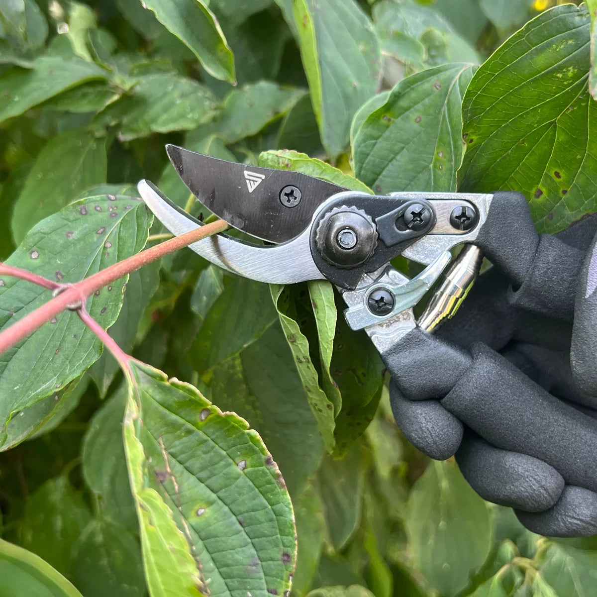 Steelworks garden scissors made of spring steel rose scissors | Vineyards | Gärtnerscheers | Bypass scissors | Plant scissors | Flower scissors | Prick