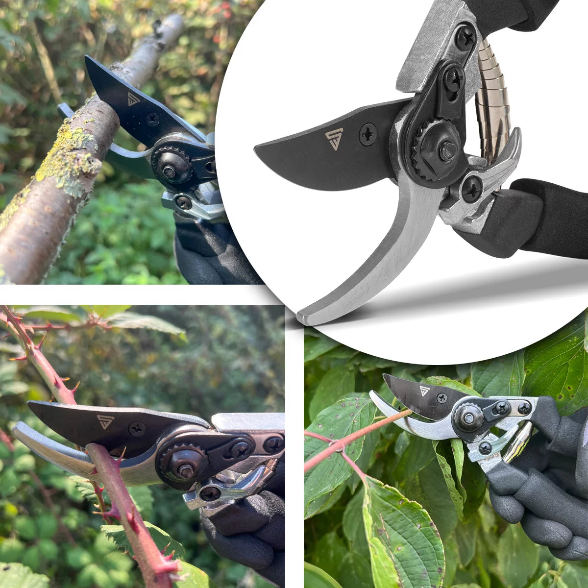 Steelworks garden scissors made of spring steel rose scissors | Vineyards | Gärtnerscheers | Bypass scissors | Plant scissors | Flower scissors | Prick