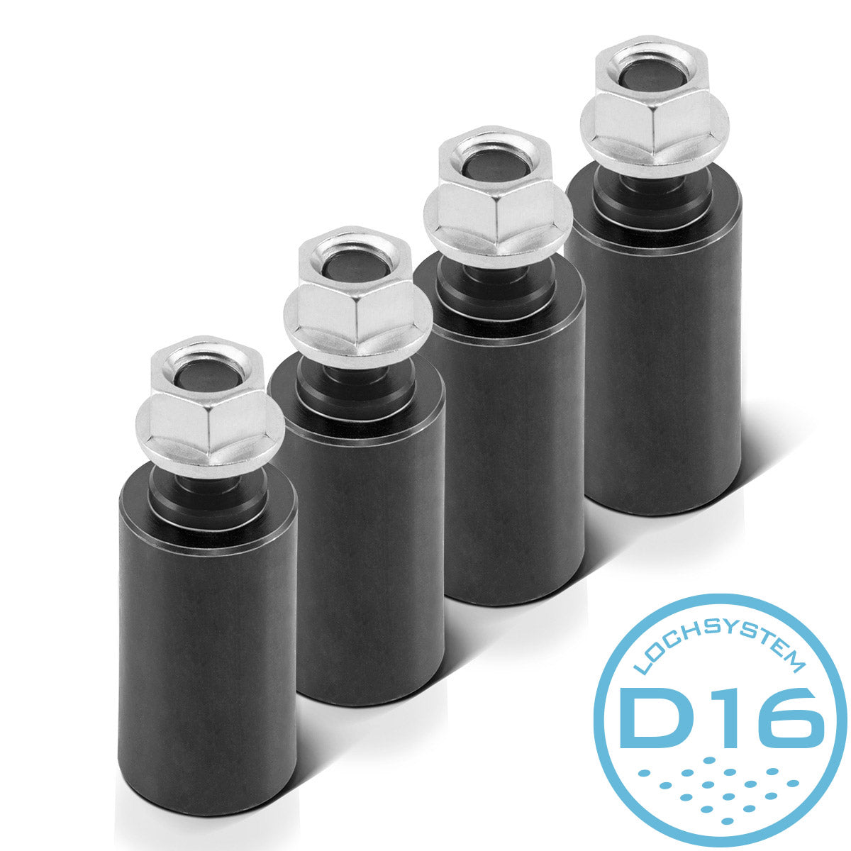 In acciaio Fare un bullone con serratura di sollevamento 25 x 50 mm con filo M 12 per tabelle di saldatura con sistema di fori D16 - Pratico 4 -set